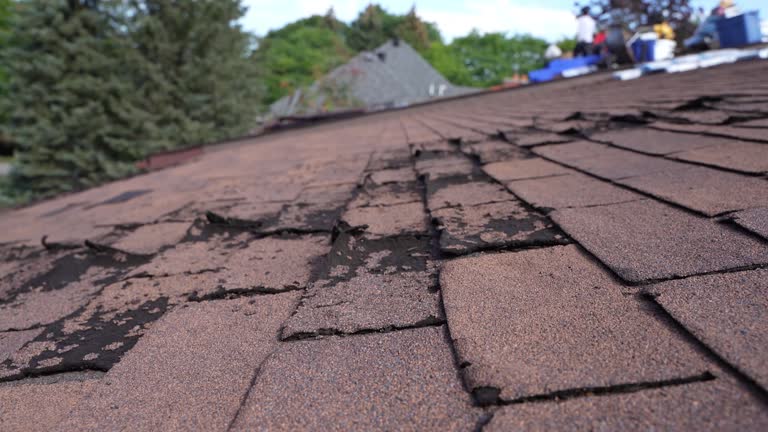 Fast & Reliable Emergency Roof Repairs in Bristol, WI